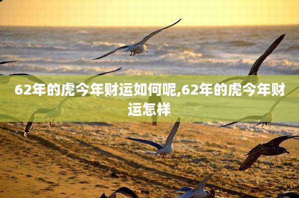 62年的虎今年财运如何呢,62年的虎今年财运怎样