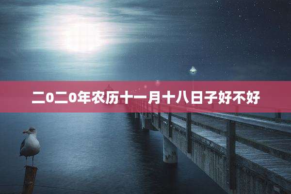 二0二0年农历十一月十八日子好不好