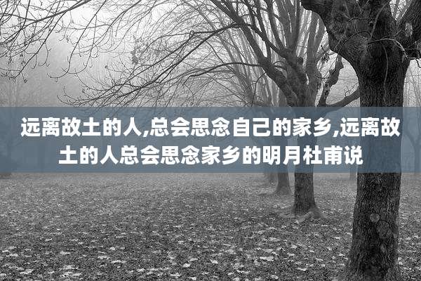 远离故土的人,总会思念自己的家乡,远离故土的人总会思念家乡的明月杜甫说