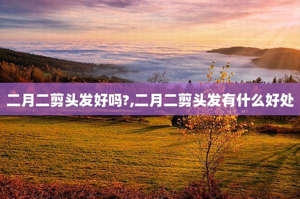 二月二剪头发好吗?,二月二剪头发有什么好处