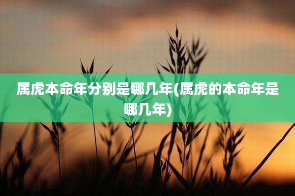 属虎本命年分别是哪几年(属虎的本命年是哪几年)