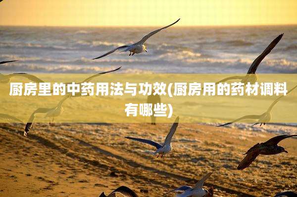 厨房里的中药用法与功效(厨房用的药材调料有哪些)