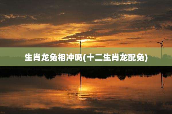 生肖龙兔相冲吗(十二生肖龙配兔)