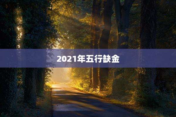 2021年五行缺金