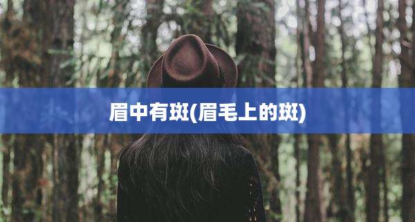 眉中有斑(眉毛上的斑)