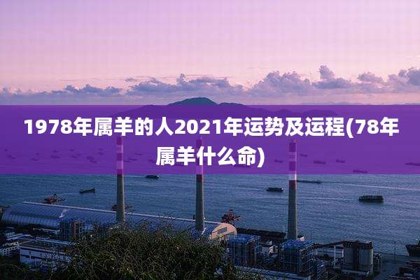 1978年属羊的人2021年运势及运程(78年属羊什么命)