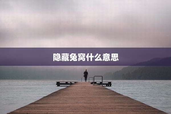 隐藏兔窝什么意思