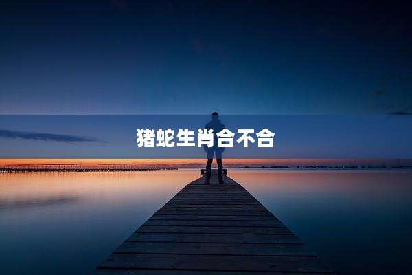 猪蛇生肖合不合