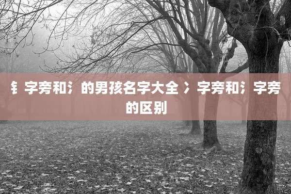 钅字旁和氵的男孩名字大全 冫字旁和氵字旁的区别