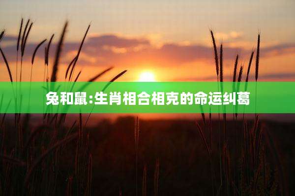 兔和鼠:生肖相合相克的命运纠葛