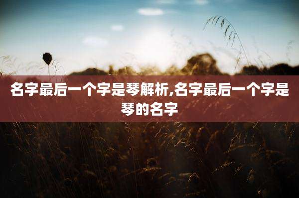名字最后一个字是琴解析,名字最后一个字是琴的名字