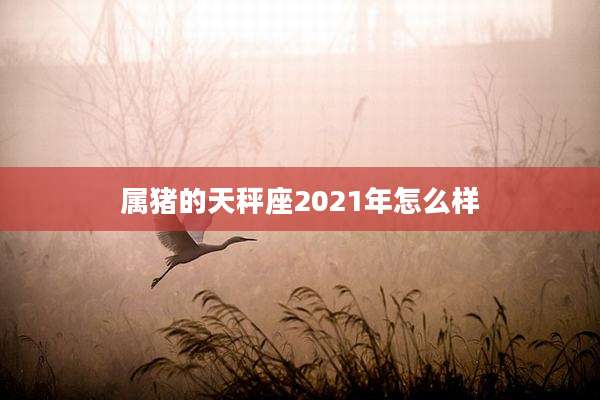 属猪的天秤座2021年怎么样