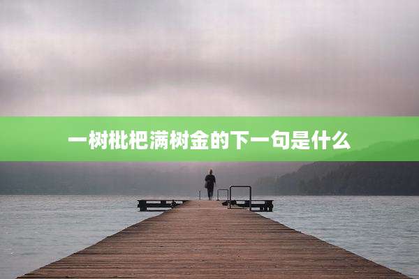 一树枇杷满树金的下一句是什么