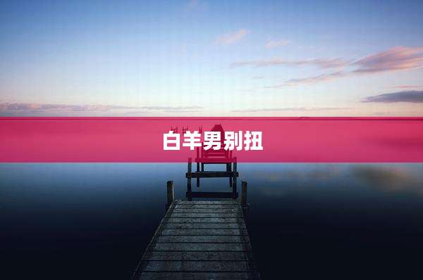 白羊男别扭