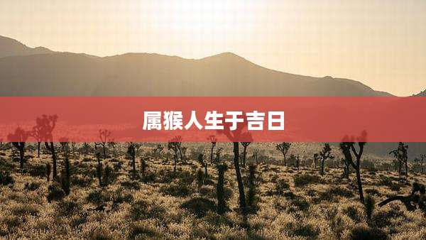 属猴人生于吉日