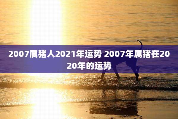 2007属猪人2021年运势 2007年属猪在2020年的运势