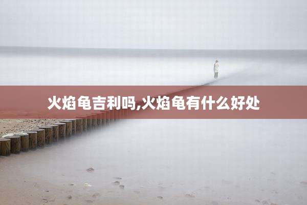 火焰龟吉利吗,火焰龟有什么好处