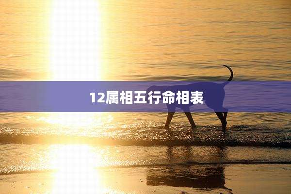12属相五行命相表