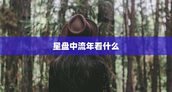 星盘中流年看什么