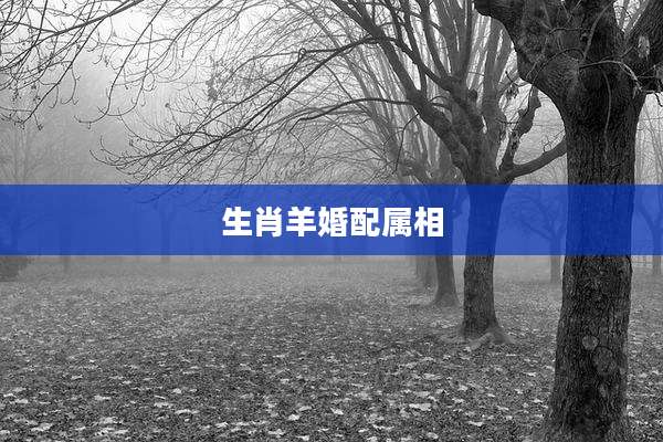 生肖羊婚配属相