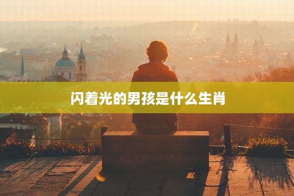 闪着光的男孩是什么生肖