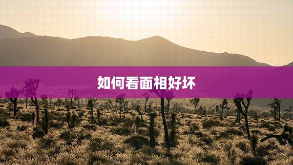 如何看面相好坏