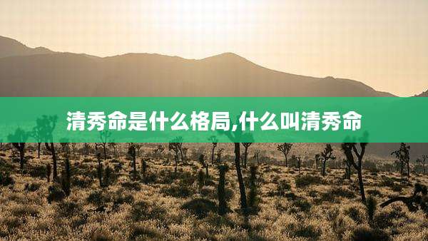 清秀命是什么格局,什么叫清秀命