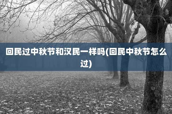 回民过中秋节和汉民一样吗(回民中秋节怎么过)