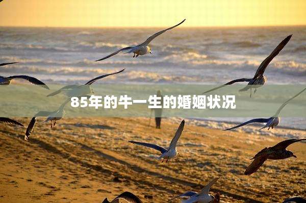 85年的牛一生的婚姻状况