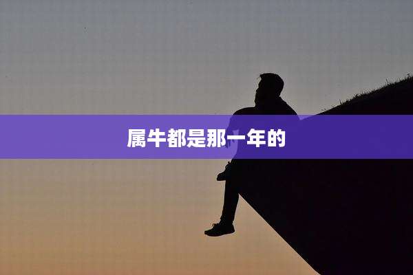 属牛都是那一年的