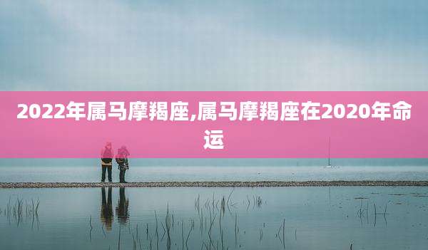 2022年属马摩羯座,属马摩羯座在2020年命运