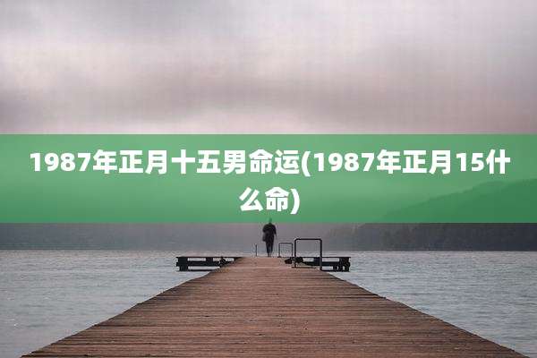 1987年正月十五男命运(1987年正月15什么命)