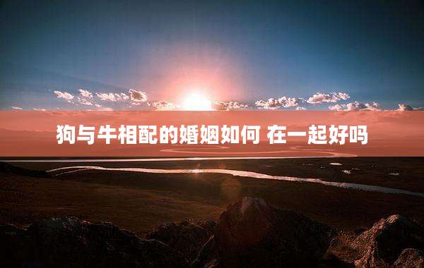 狗与牛相配的婚姻如何 在一起好吗