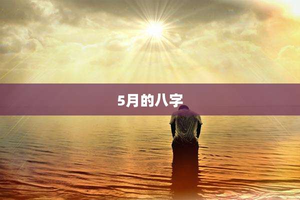 5月的八字