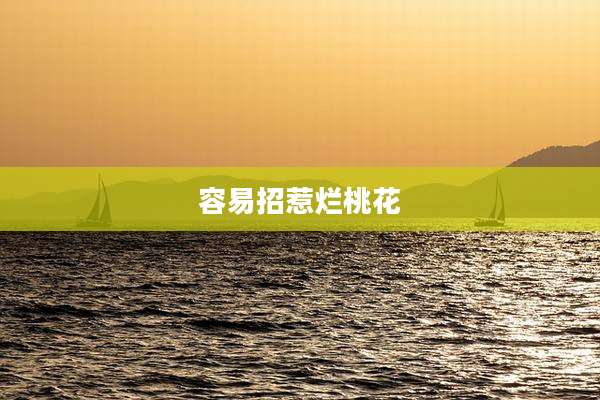 容易招惹烂桃花
