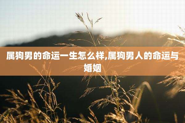 属狗男的命运一生怎么样,属狗男人的命运与婚姻