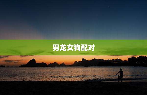 男龙女狗配对