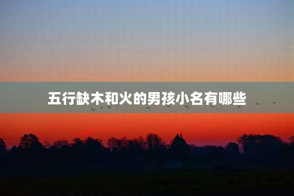 五行缺木和火的男孩小名有哪些