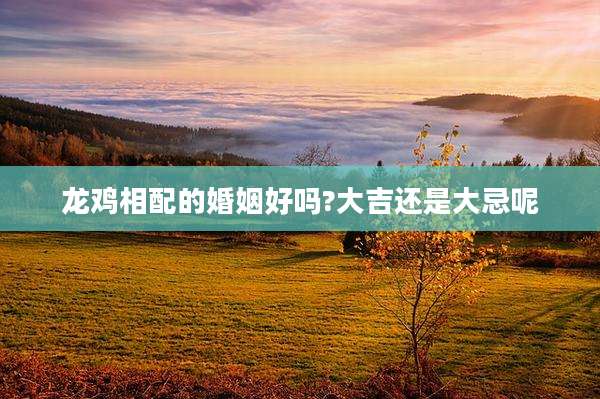 龙鸡相配的婚姻好吗?大吉还是大忌呢