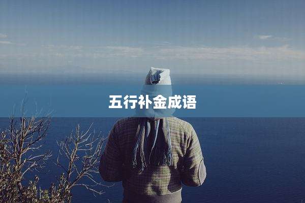 五行补金成语
