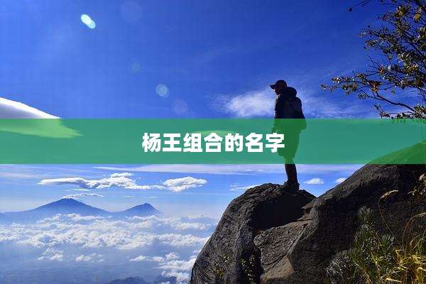 杨王组合的名字