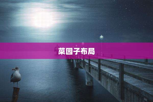 菜园子布局
