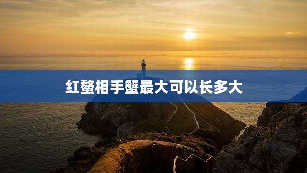 红螯相手蟹最大可以长多大