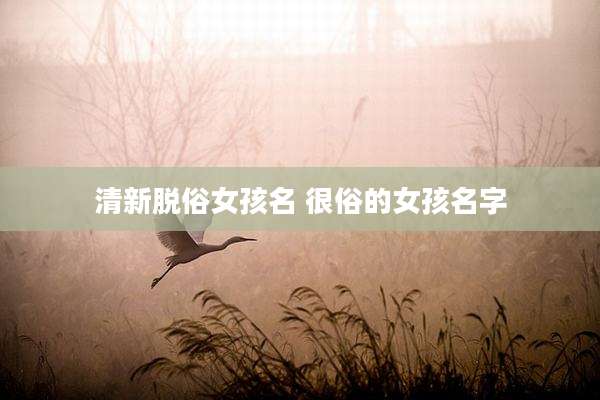 清新脱俗女孩名 很俗的女孩名字