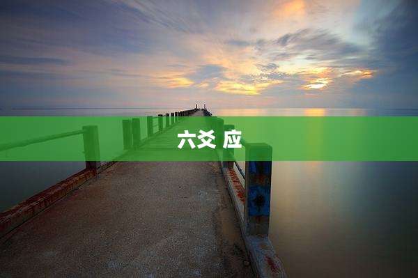 六爻 应