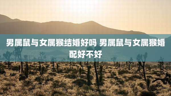 男属鼠与女属猴结婚好吗 男属鼠与女属猴婚配好不好