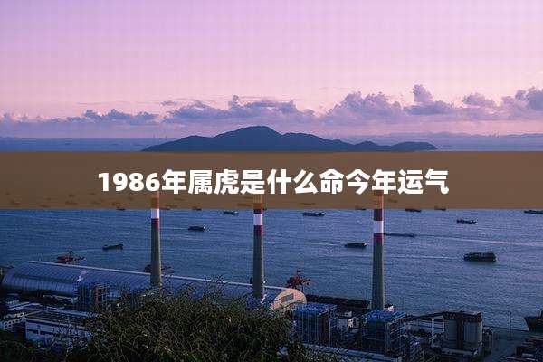 1986年属虎是什么命今年运气