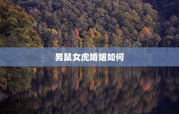男鼠女虎婚姻如何