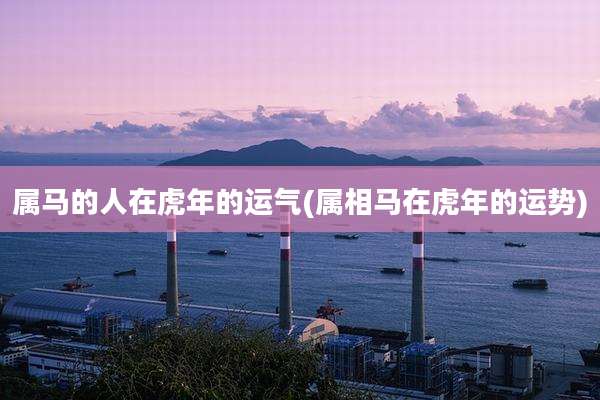属马的人在虎年的运气(属相马在虎年的运势)