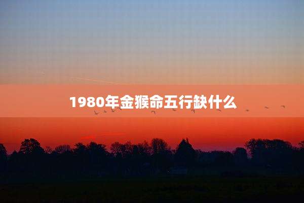 1980年金猴命五行缺什么